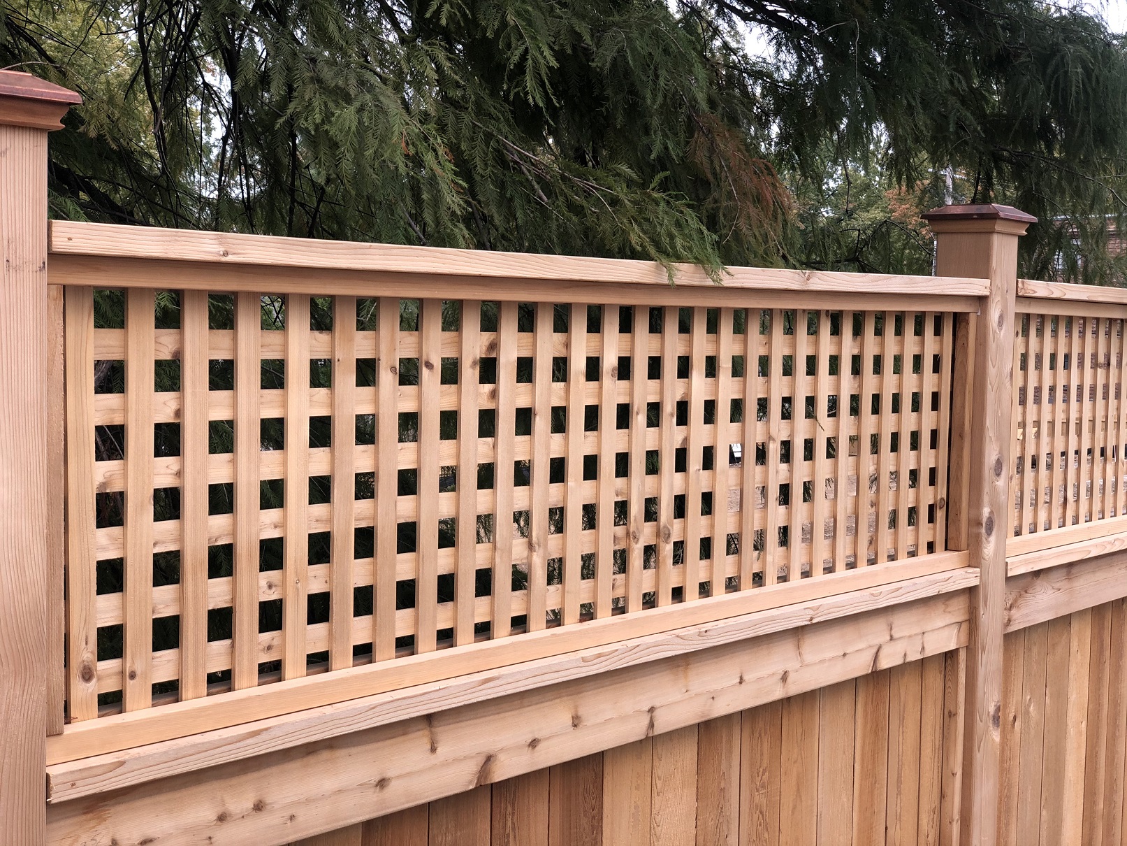 Cedar Lattice